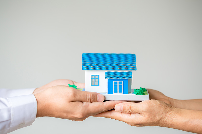 Shourav Properties Ltd​